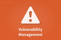 Vulnerability Management